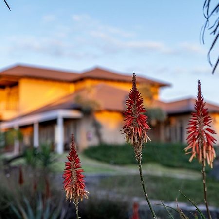 Blue Rain Guest House Bloemfontein Esterno foto
