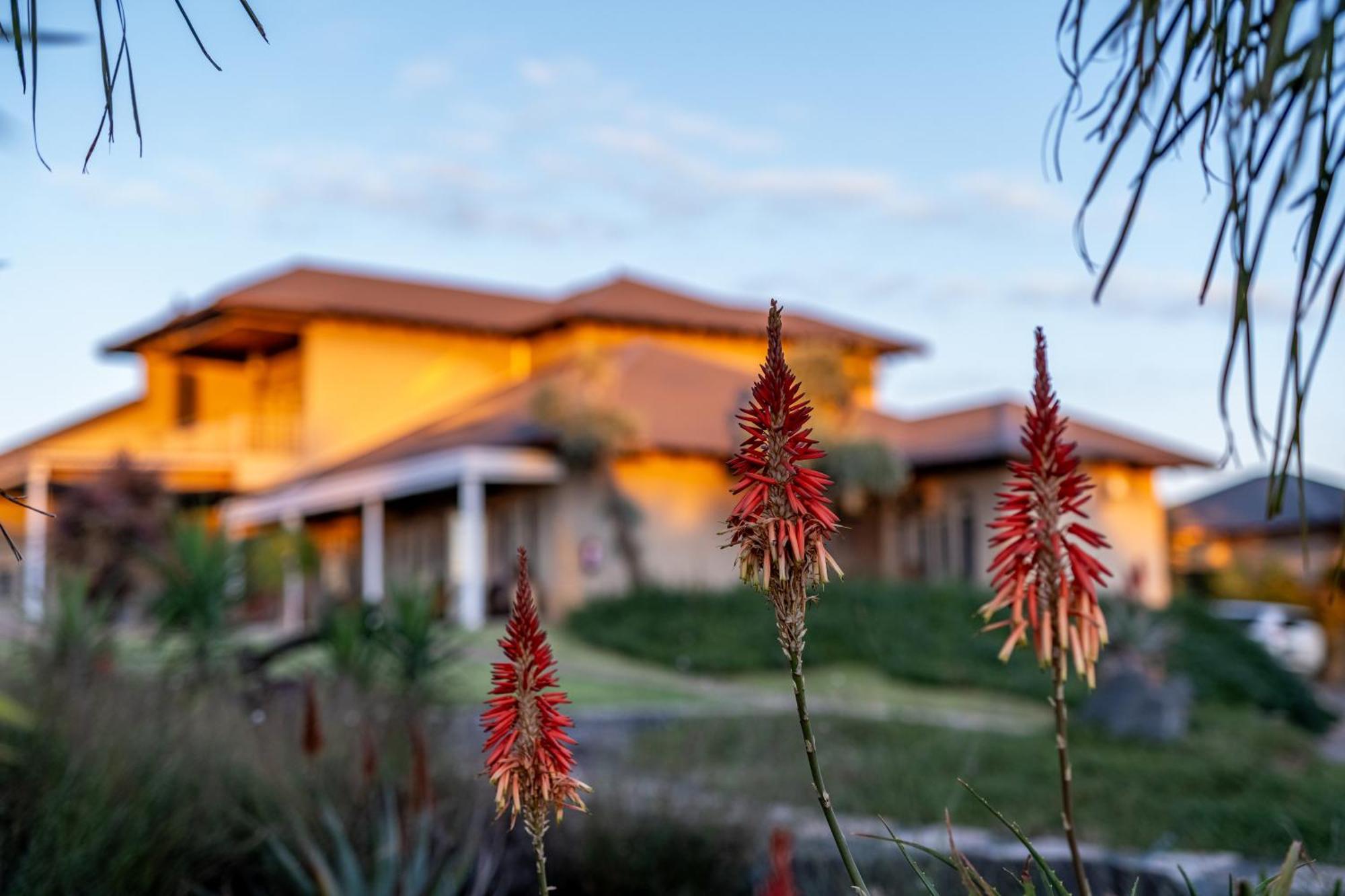 Blue Rain Guest House Bloemfontein Esterno foto