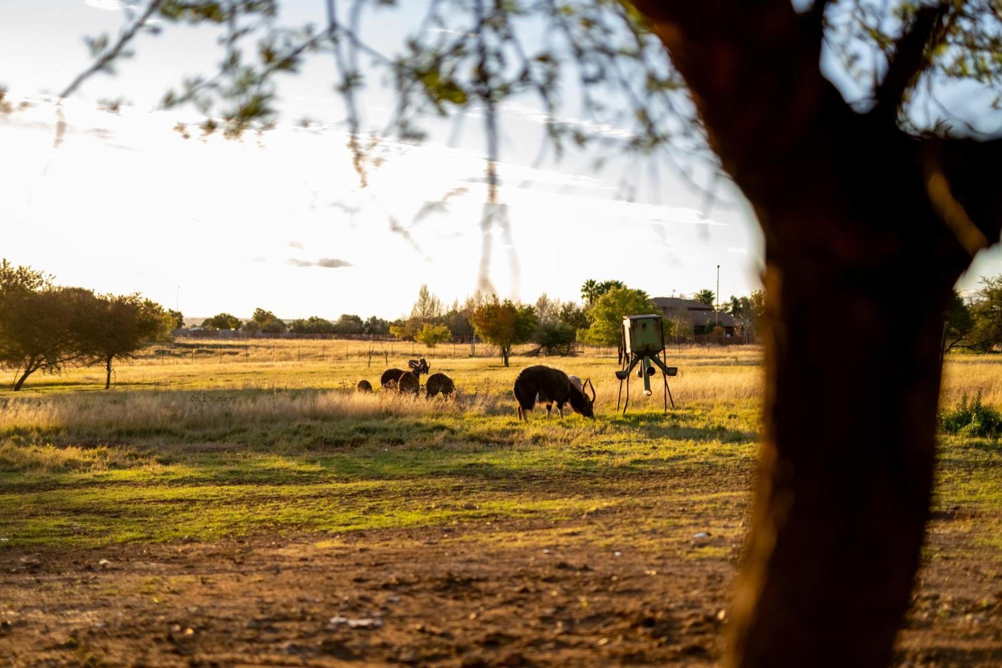 Blue Rain Guest House Bloemfontein Esterno foto